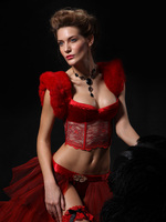 Satin & Lace Corest